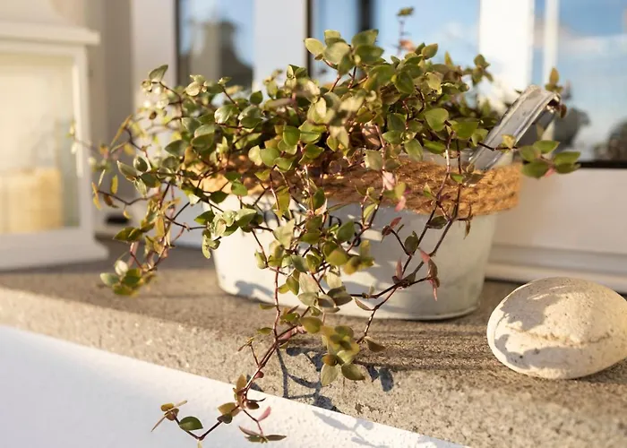 In Our Cozy And Wonderful Casa Da Rosinha Tatil Evi